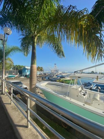 Ocho Rios Vacation Resort Property Rentals Екстериор снимка
